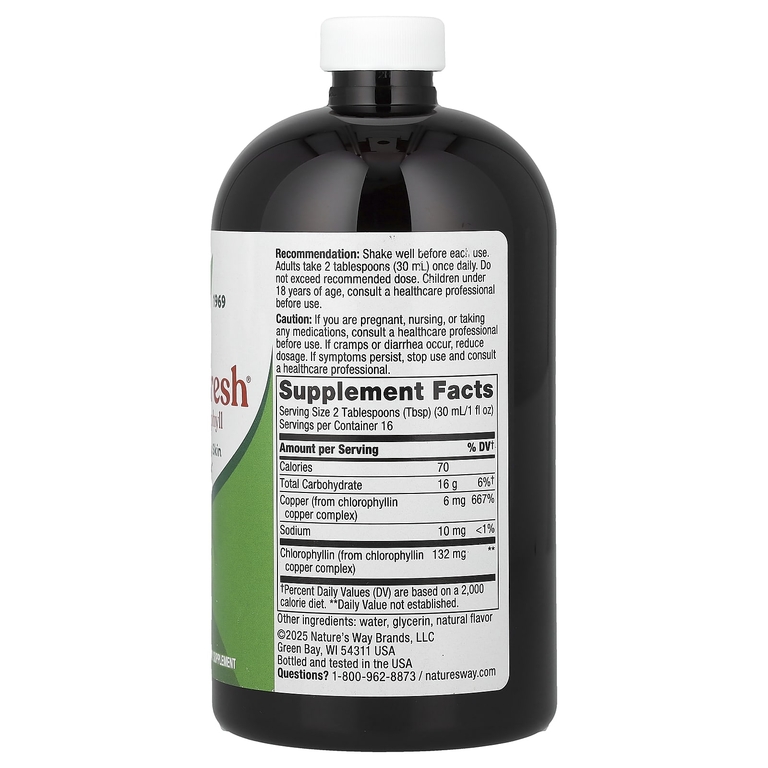 Nature's Way Chlorofresh 132mg 480ml Mint